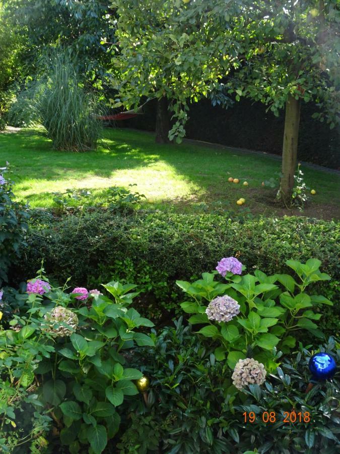 Traumferienwohnung Zwischen Koeln Und Duesseldorf لايشلينغن المظهر الخارجي الصورة